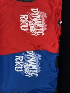 【お買い得！！】流通経済大学ラグビー部Tシャツ2枚セット
