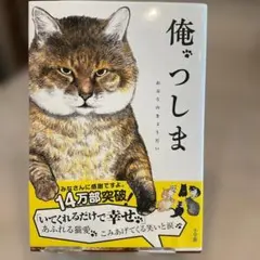 『俺、つしま』（おぷうのきょうだい／小学館）