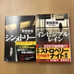 シンメトリー/インビジブルレイン