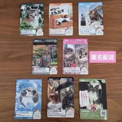 2026年最新】みーにゃまとめ売りの人気アイテム - メルカリ