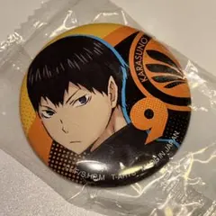 ハイキュー コレクション缶バッジ 影山飛雄 ファンパーク - メルカリ