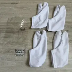 Item thumbnail for item 0bb07264-e6fa-4f79-bebb-9a8788a7fd7c