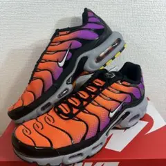 29cmNIKE ナイキ ウィメンズ エアマックスプラスDM0032-014