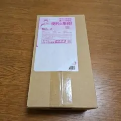 ポケモンセンター トウホク スペシャルBOX 未開封品