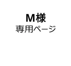M様 リクエスト 2点 まとめ商品