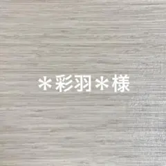 【専用】追加1点