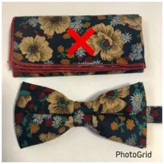 Item thumbnail for item 8170c221-7077-4805-bc41-4b07ce5bee75