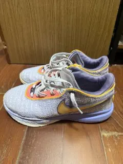 レブロン20 バスケットボール