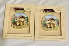 香港ディズニー マジックアクセス メダル チップとデール グリズリー