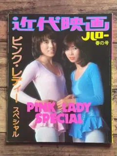 映画 コールガール ピンク・レディー MIE パンフレット 昭和 レトロ