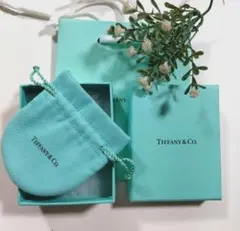 ♥Tiffany♥空箱 巾着袋 ショップ袋 ティファニーラッピング♥可愛すぎ♥