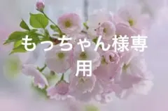 もっちゃん様専用