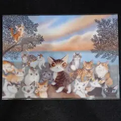 わちふぃーるど　ダヤン　World Cat Convention クリアファイルのサムネイル