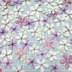 ドライフラワー 小花 フェアリースター 50輪 封入用花材 No.1546
