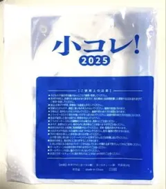 【未開封】小コレ2025特典 葬送のフリーレン　スライダークリアポーチ