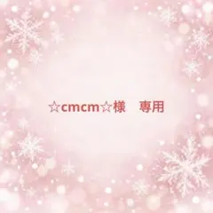 ☆cm cm☆様ご専用ページ