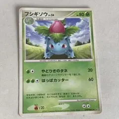シリーズ:PCG;listno_Pokemon:18060;カード名:フシギダ… - メルカリ