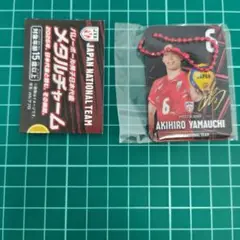 ガチャガチャ メタルチャーム バレーボール男子日本代表 山内晶大選手