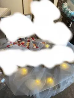 ウェルカムスペース　セット⭐︎豆ライト、フラワーペタル　結婚式