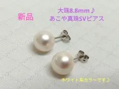 ☆新品☆大珠8.8mm☆あこや真珠SVピアス☆大珠をお求めの方如何ですか♪