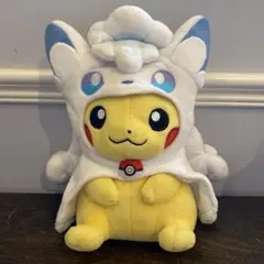 ポケモン ポンチョピカチュウ ぬいぐるみまとめ売り 最終値下げ ポケモンセンター メガシンカ ポンチョを着たピカチュウ