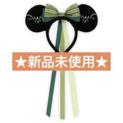 アナ雪カチューシャ　ファンタジースプリングス FS