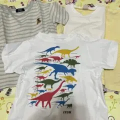 Tシャツ　110
