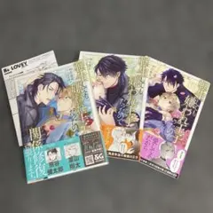 ［BL］転生しても嫌われ王子だったので関係修復頑張ります。1~3 アニメイト