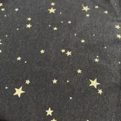 星柄　天竺ニット生地 黒地 金色