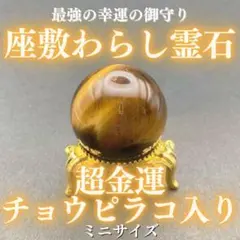 2025年最新】チョウピラコの人気アイテム - メルカリ