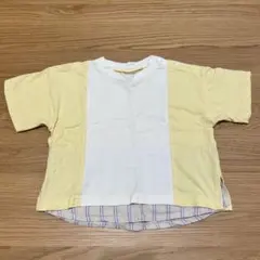 Item thumbnail for item bf160579-897f-4b5c-9fc4-5a81189f440f