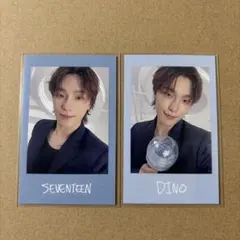 SEVENTEEN NEW_ トレカ　インスタントフォト　ディノ
