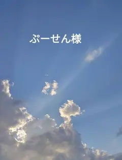ぷーせん様