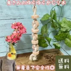 Item thumbnail for item b3fd9ede-d357-4e57-84ab-a8c210c5ca3c