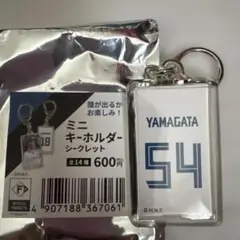 日本ハムファイターズ⭐️ミニキーホルダー 54番山縣秀⭐️ガタシュー