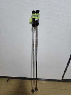 新品タグ付 未使用保管品 LEKI レキ WORLDCUP LITE 100cm LEKI レキ スキーポール GSストック ＜ 2026＞WCR LITE GS 3D