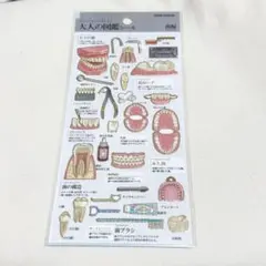 カミオジャパン　大人の図鑑　歯　歯編
