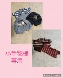 プリモプエルハンドメイド洋服　サロペット他のサムネイル