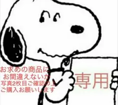 まーちゃん様専用