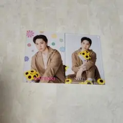 FANTASTICS 堀夏喜 フォトカ セット