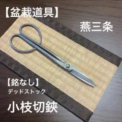 2026年最新】昌国の人気アイテム - メルカリ
