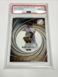 Item thumbnail for item 815e4054-fee2-4e54-bcff-7d55a74dd1e3