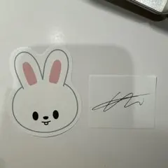 straykids SKZOO リノ リービット サイン 落下物