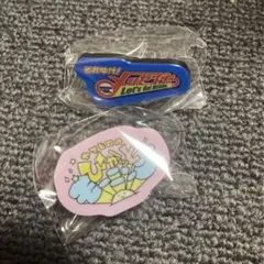 MBSラジオまつり 2025 推し番組ピンバッチ