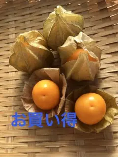 食用ほおずき♪ゴールデンベリーの苗のサムネイル