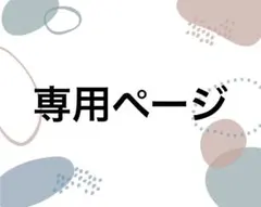 専用ページ