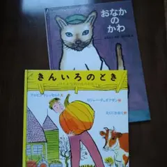 きんいろのとき　おなかのかわ