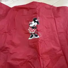 ディズニーランド　ポンチョ　110のサムネイル