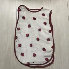 スリーパー　いちご