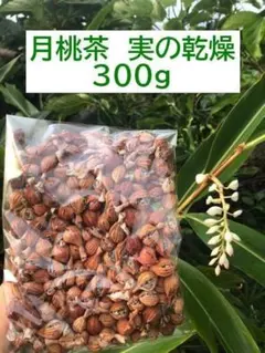 石垣島産】 月桃の実・乾燥 150g - メルカリ